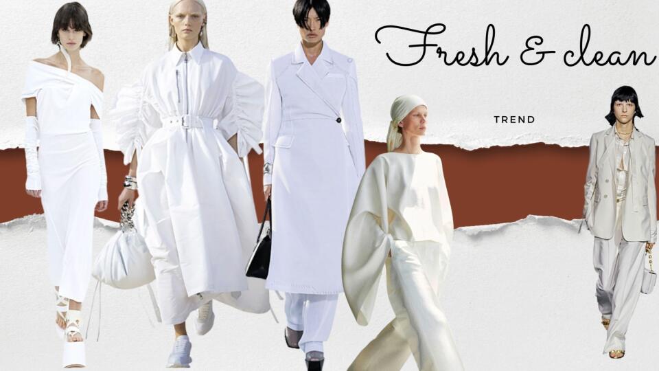 Fresh & clean trend