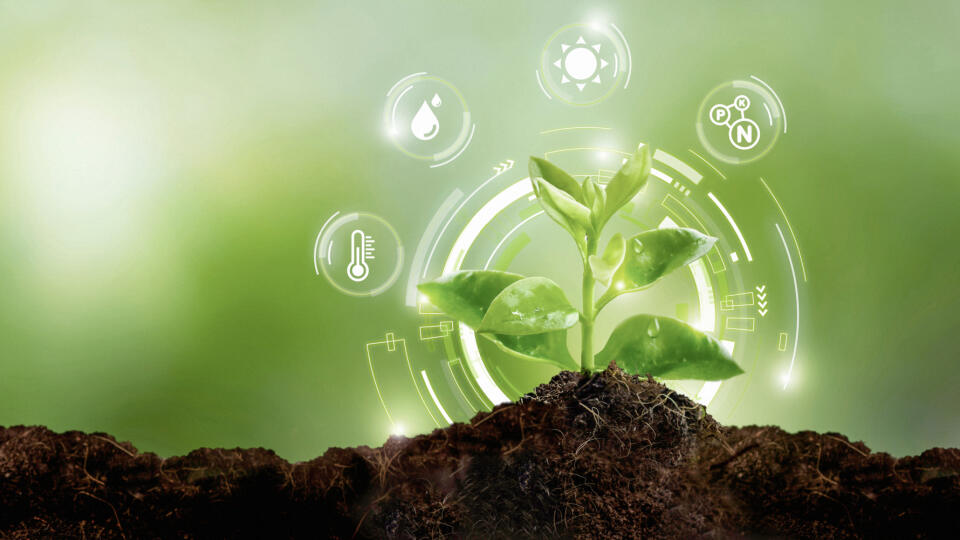 application,sapling,technology,growing,agriculture,
