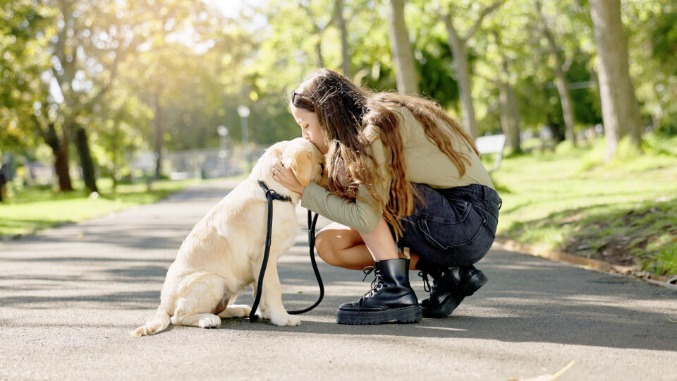 Park, kiss and woman with dog in nature for walking, playing and training outdoors together. Friendship, animal rescue and happy person with pet Labrador for behavior, bonding and fun together