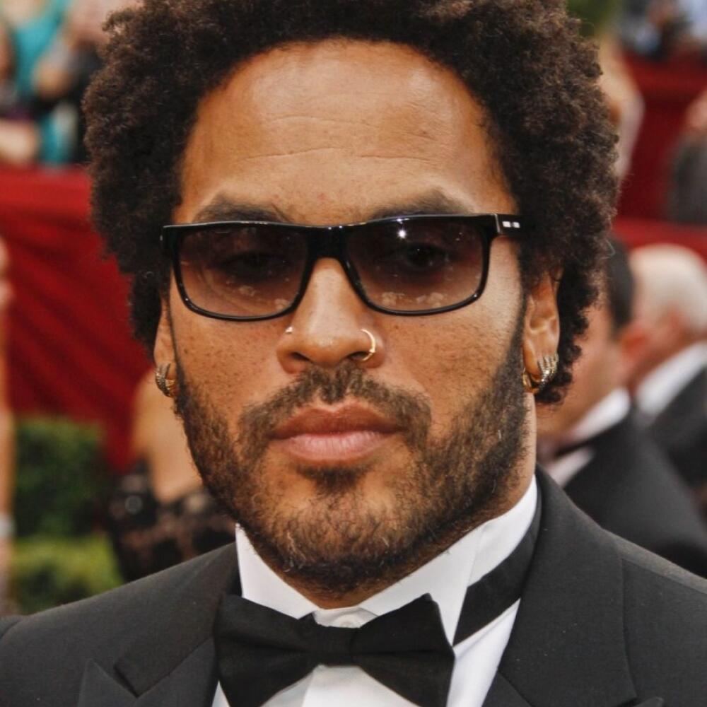 Vyznavačom pop-artu je aj Lenny Kravitz