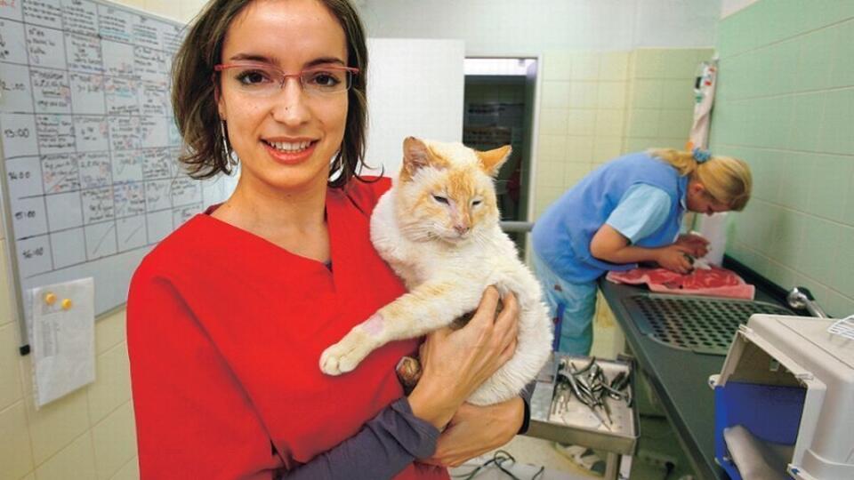 „Ak príde podobná ponuka, určite ju opäť