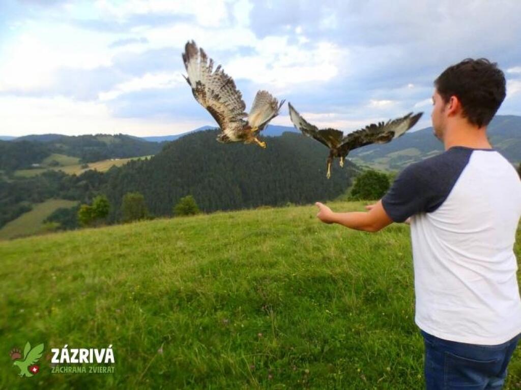 Záchranná stanica Zázrivá
