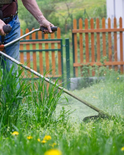 3 jednoduché tipy, AKO v záhrade zlikvidovať burinu z dlažby