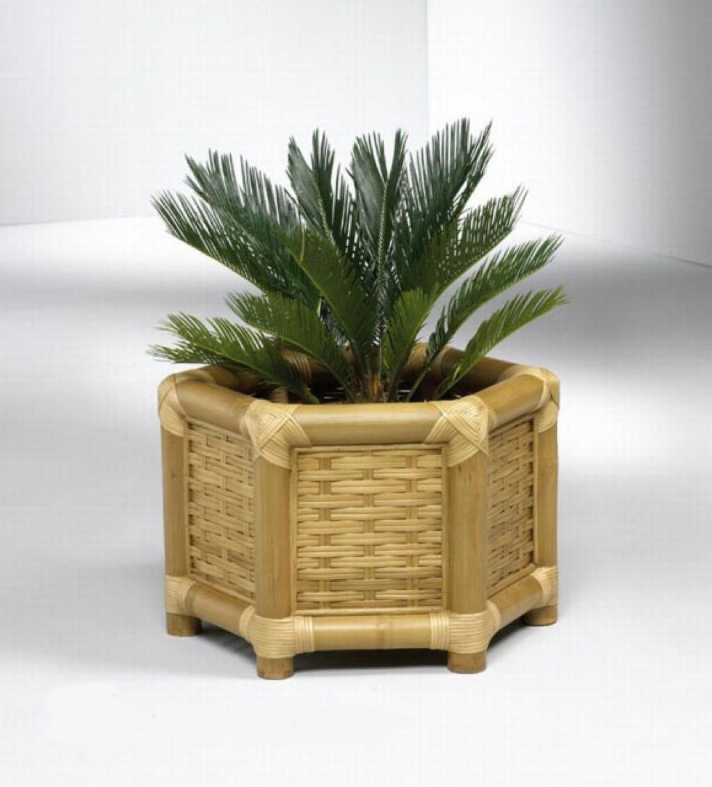 Бамбук фото мебель