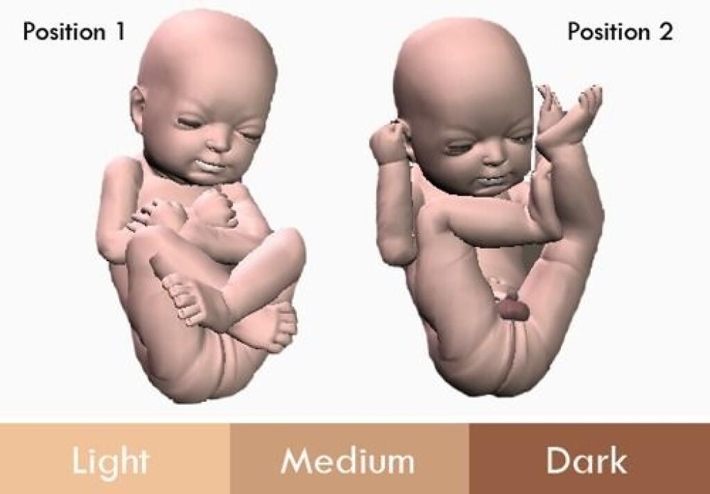 Baby 3d модель. 3d модель младенца. 3d модель ребенка в утробе.