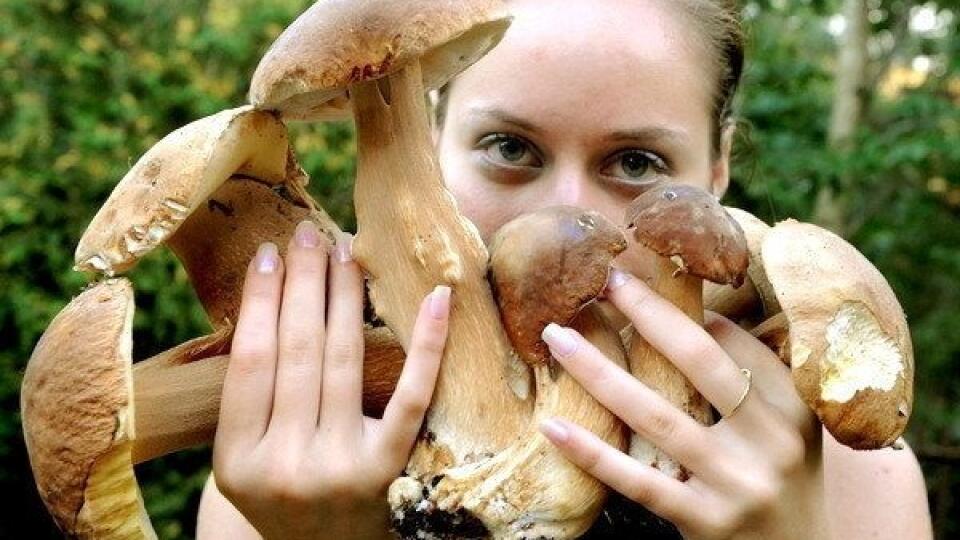 Za pár minút nazbierala prázdninujúca študentka