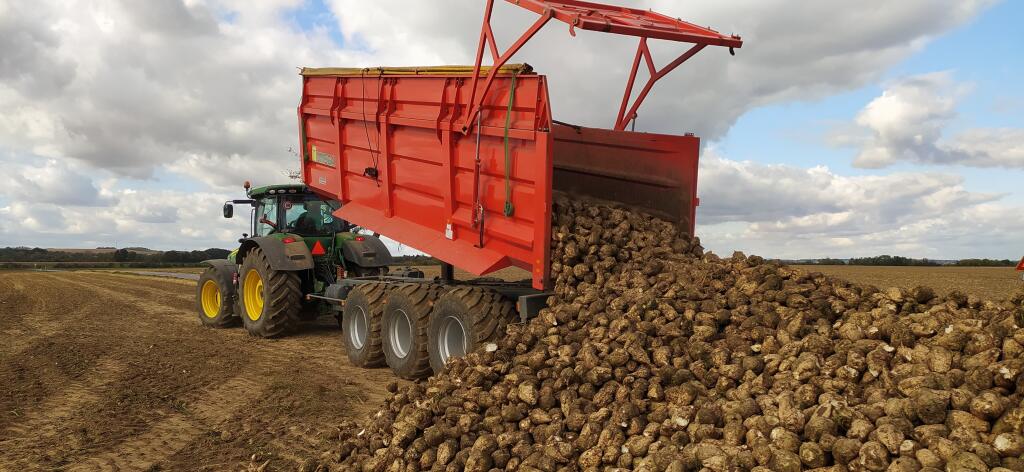 Donau farm patrí k najväčším producentom cukrovej repy na Slovensku.