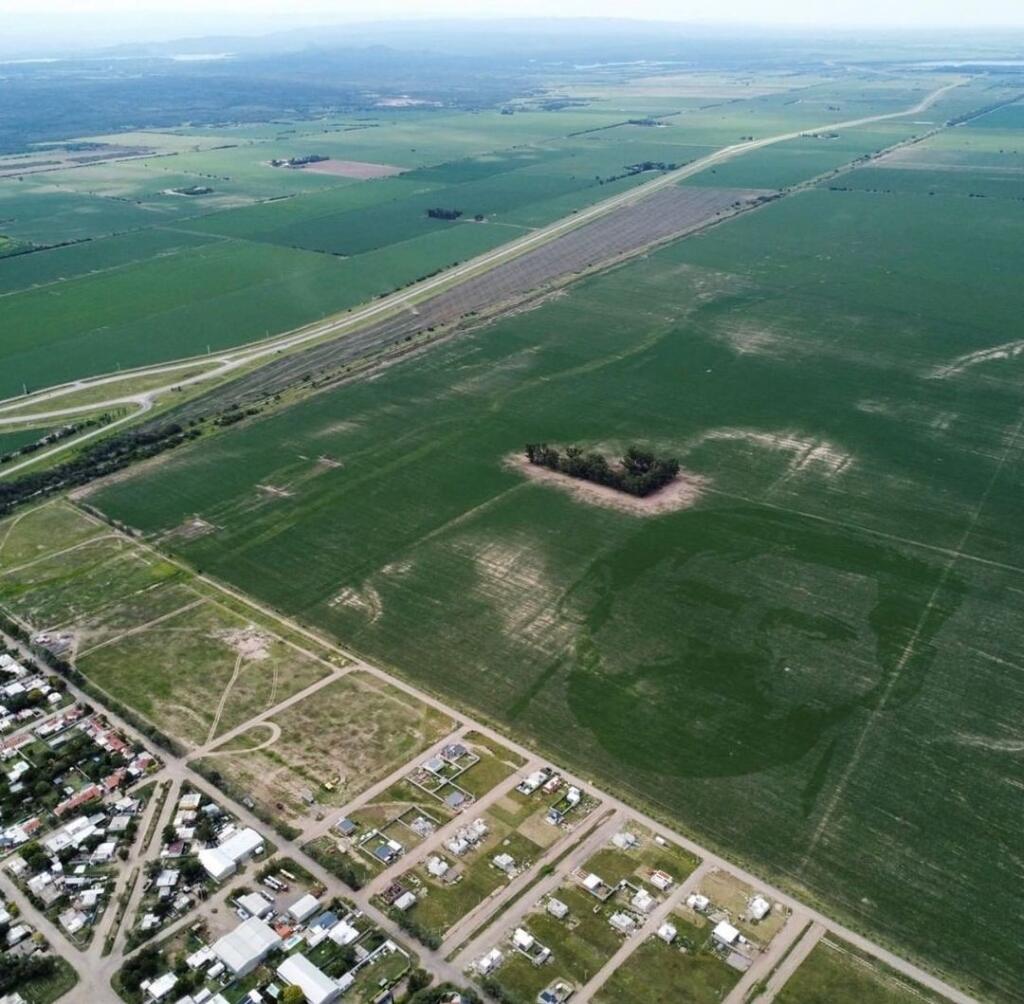 Farmár Carlos Faricelli však chcel, aby kapitána reprezentácie, ktorý doviedol svoju krajinu k tretiemu titulu majstra sveta, bolo vidieť aj z neba. Preto neváhal, navrhol a ešte počas prvého zápasu Argentíny na turnaji so Saudskou Arábiou (1:2) aj spolu s ostatnými farmármi vysadil na poli kukuricu tak, aby sa po jej doraste vytvoril obrovský vizuálny obraz Messiho tváre.