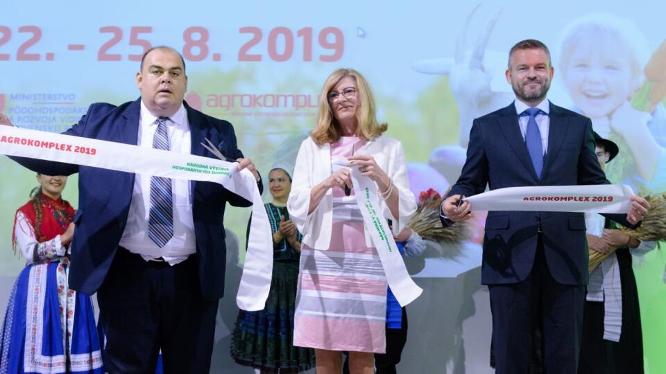 Branislav Borsuk, Gabriela Matečná a Peter Pellegrini