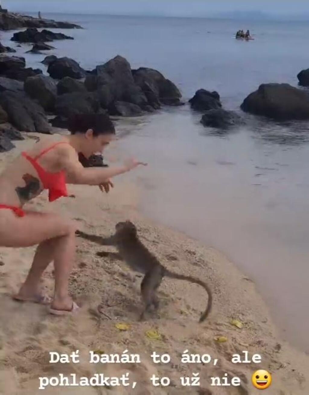 Okrem toho, že sa Chochlíková v Thajsku poctivo pripravovala na svetový šampionát, prišiel čas aj na oddych. Kickboxerka sa pochválila vtipnými zábermi. Opice sa totiž nenechali pohladkať a vznikol z toho súboj rovno na pláži.