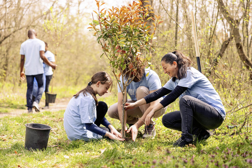 Volunteers,And,A,Little,Kid,Planting,Tree,And,Covering,Hole