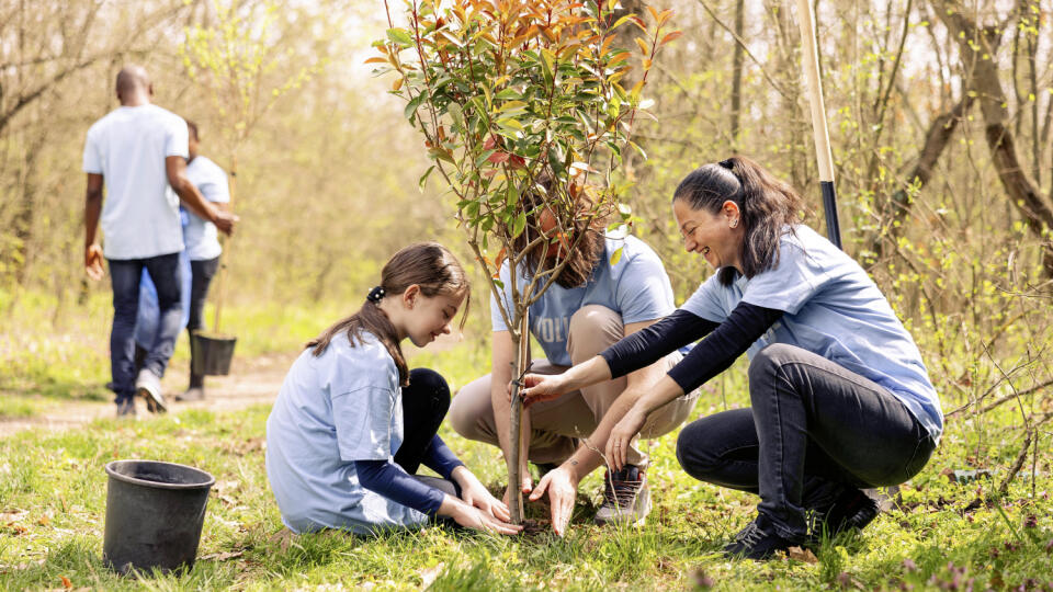 Volunteers,And,A,Little,Kid,Planting,Tree,And,Covering,Hole