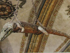 Bizarná výzdoba kostola: Zo stropu visí vypchatý krokodíl