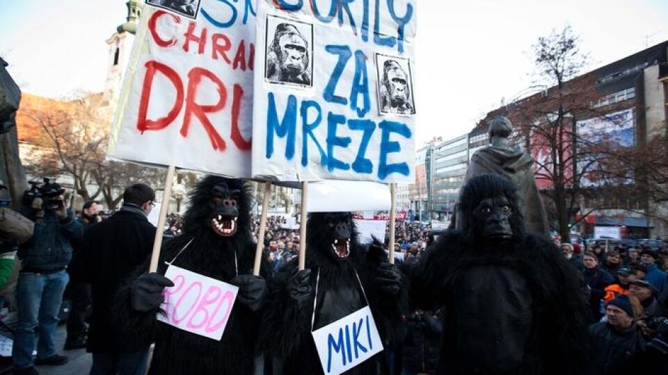 SIS mala poslancom potvrdiť existenciu Gorily