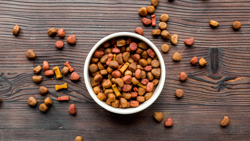 Dry,Dog,Food,In,Bowl,On,Wooden,Background,Top,View