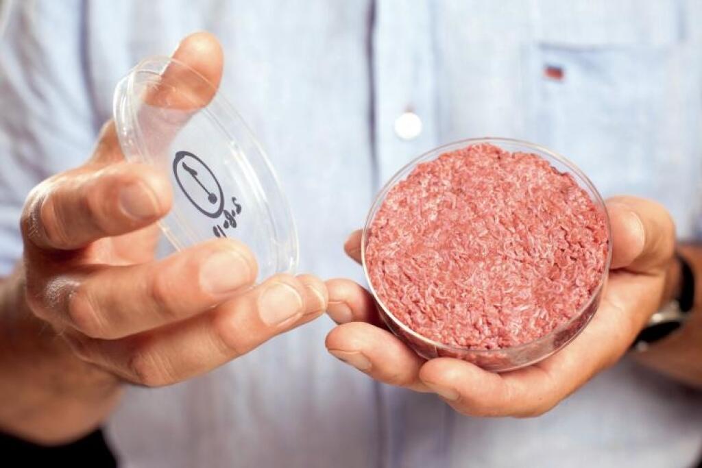 Hamburger zo skúmavky? Vyrobiť umelé mäso vieme, doladiť treba chuť a cenu