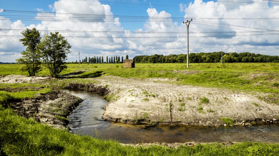 Zrevitalizovaná rieka vytvára priestor pre návrat živočíchov a rastlín.