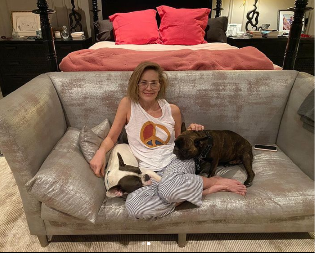 Sharon Stone jej domáca pohoda.