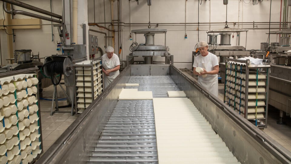 Na snímke je podnik Levické Mliekarne - Levmilk so sídlom v Leviciach. Mliekarne majú produkciu mlieka a mliečnych výrobkov, prírodné a tavené syry, smotana, tvaroh, sušené mlieko.