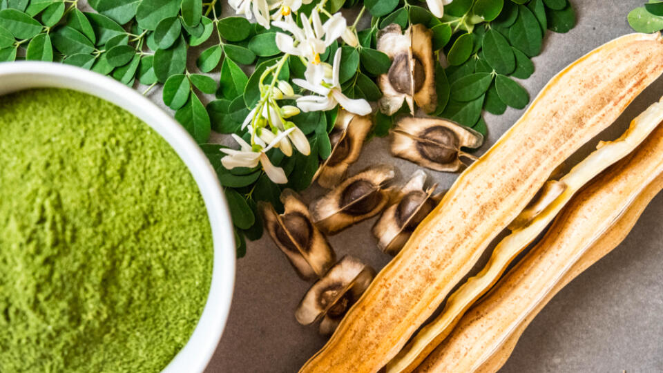 Moringa