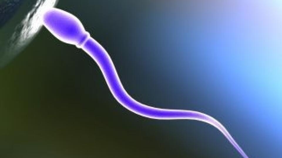 Baby-web.sk