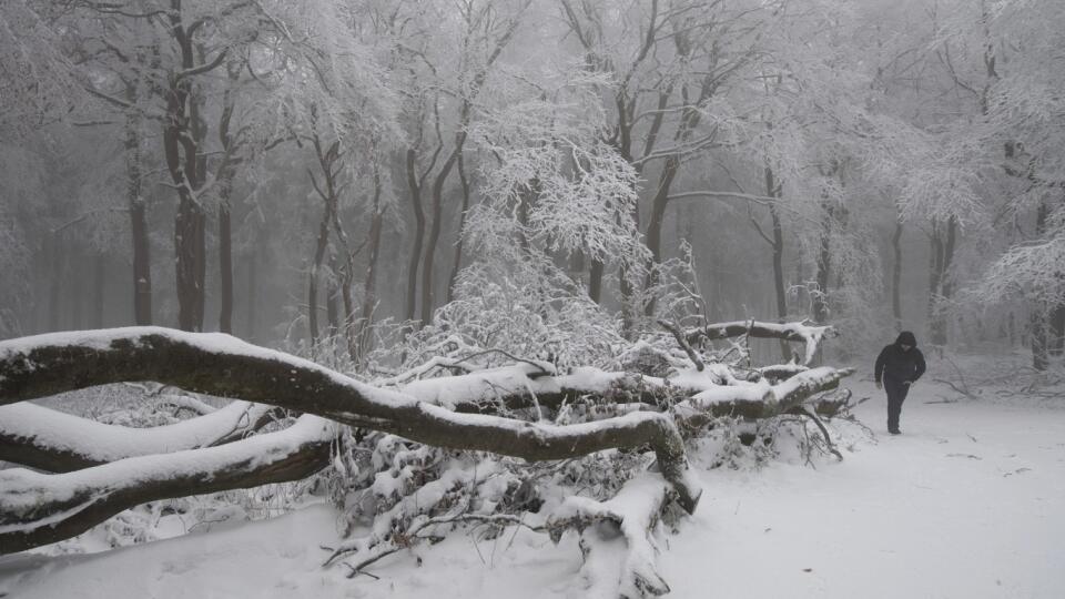 KK33 Schmitten - Muž kráča počas hmly v zasneženom horskom regióne Taunus pri nemeckom Frankfurte nad Mohanom 29. novembra 2021. FOTO TASR/AP
A person walks through the foggy and snowy forest in the Taunus region near Frankfurt in Schmitten, Germany, Monday, Nov. 29, 2021. (Julia Cebella/dpa via AP)