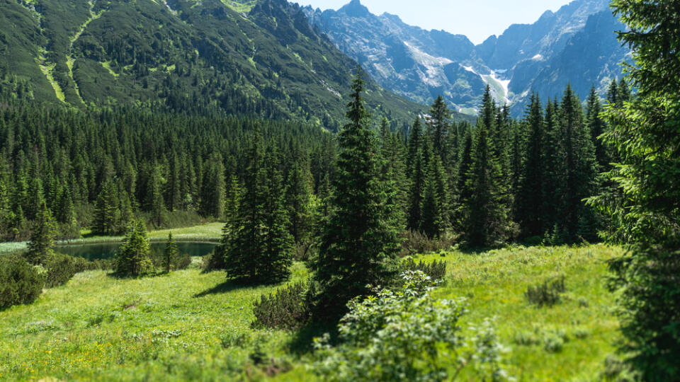 Nádherné Nízke Tatry