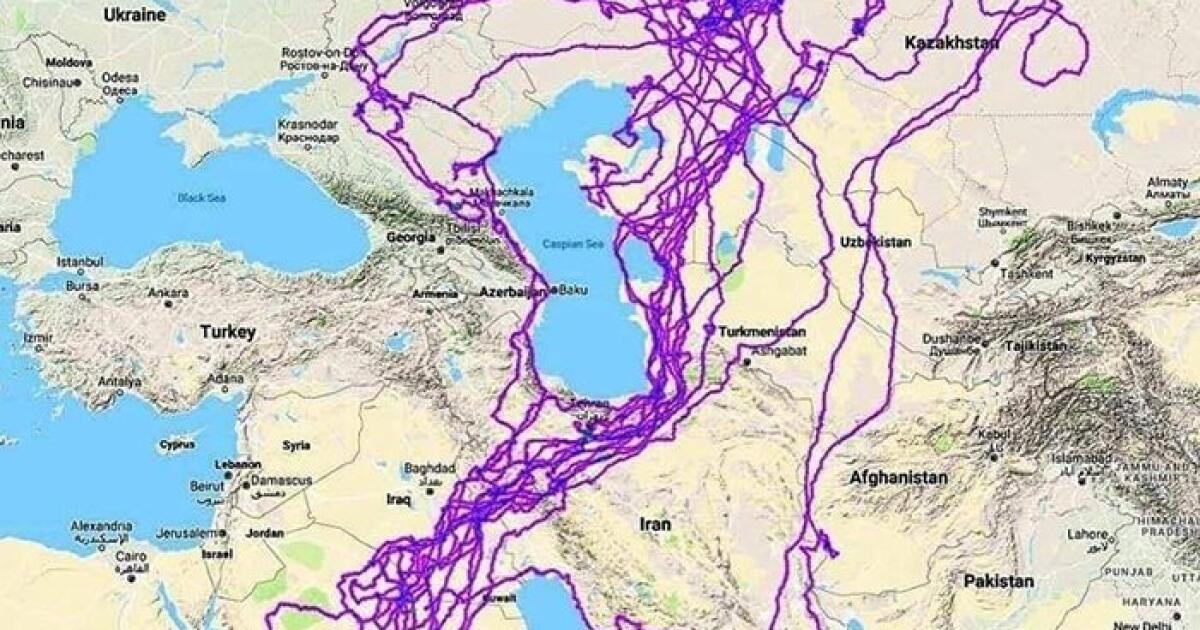 Какой город в течение 20 месяцев героически. Маршрут орла за 20 лет. Карта полета орла за 20 лет. Перемещение орла за 20 лет. Полет орла за год.