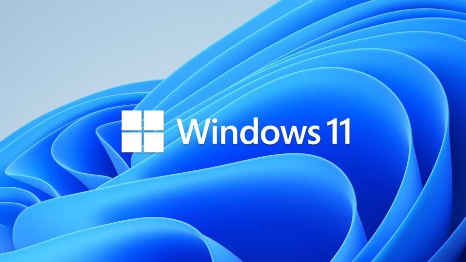 logo Windows 11