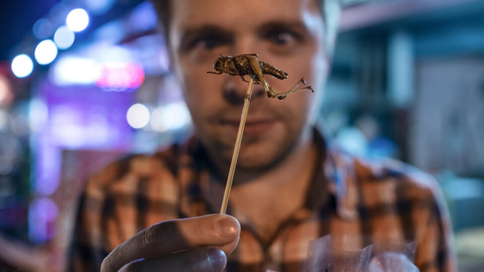 Caucasian,Young,Male,Eating,Cricket,At,Night,Market,In,Thailand.