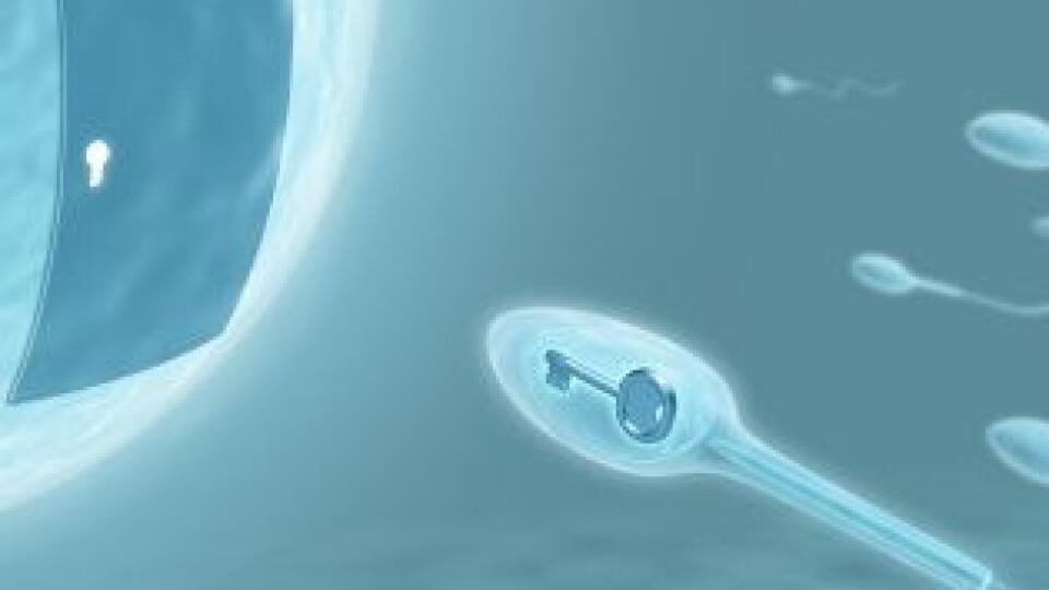 Baby-web.sk