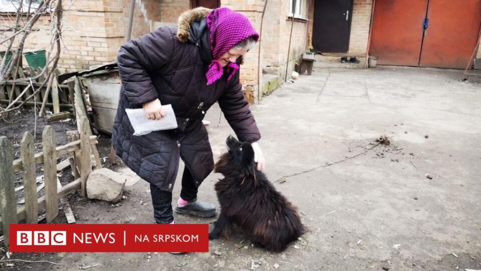 Babičke len 25-ročný poslanec odporučil, že keď nevie splácať účty, nech predá svojho psa.