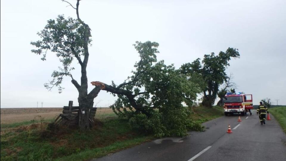 Hasiči bojovali s popadanými stromami po víchrici.