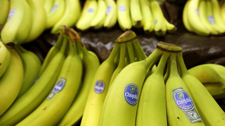 KK6 Zelienople - Na archívnej snímke z 10. septembra 2014 banány značky Chiquita sú vystavené na predaj v americkom meste Zelienople. Akcionári americkej spoločnosti Chiquita Brands International oznámili 27. októbra 2014, že sa dohodli na predaji s dvoma brazílskymi spoločnosťami v hodnote 681 miliónov dolárov (537 miliónov eur) a to len niekoľko dní po tom, čo akcionári zamietli fúziu s írskym distribútorom tropického ovocia Fyffes. FOTO TASR/AP
FILE - This Sept. 10, 2014 file photo shows bu