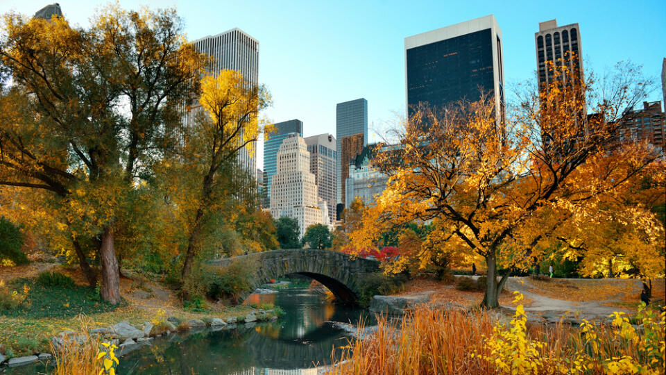 Central,Park,Autumn,And,Buildings,In,Midtown,Manhattan,New,York