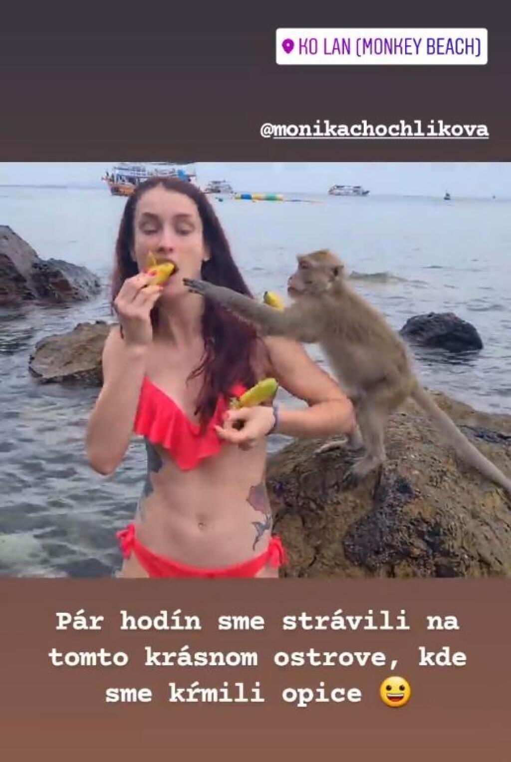 Okrem toho, že sa Chochlíková v Thajsku poctivo pripravovala na svetový šampionát, prišiel čas aj na oddych. Kickboxerka sa pochválila vtipnými zábermi z kŕmenia opíc, s ktorými poriadne bojovala.