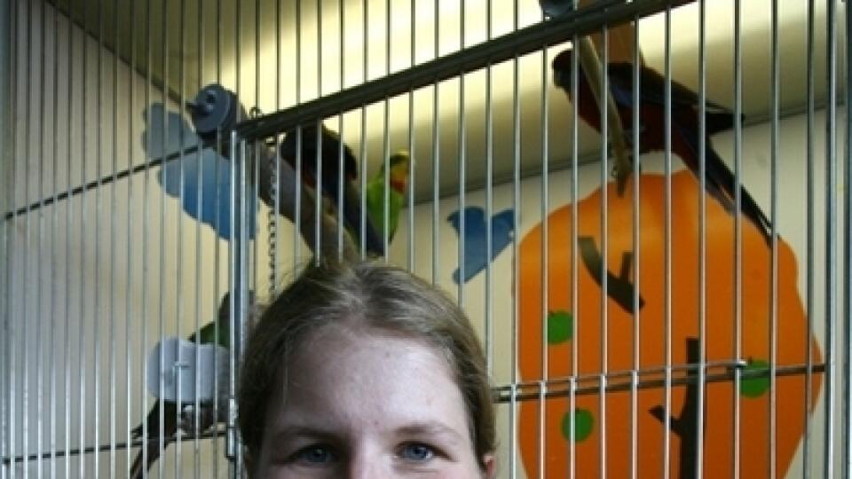 Tolerantný:
Je králik, pokiaľ ide
o spolunažívanie
s morčaťom.
