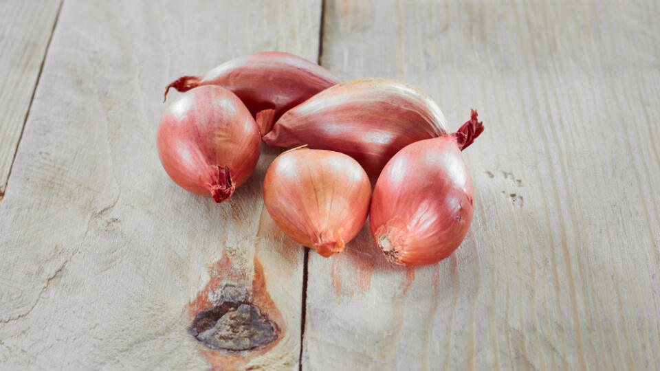 Shallots,Onion,Top,View