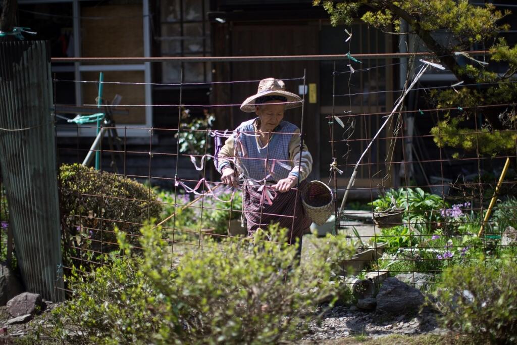 Japonské vidiecke oblasti