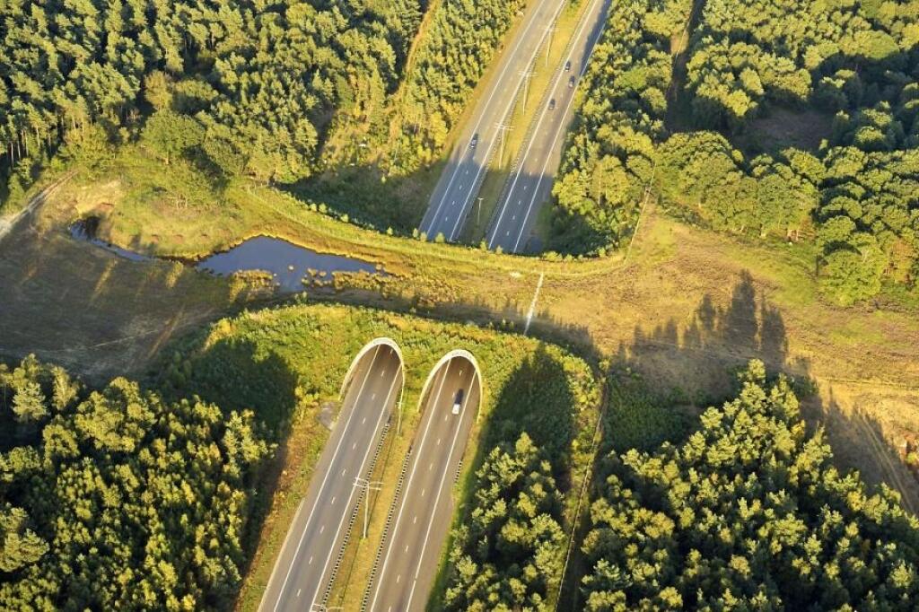 Ilustračná fotografia