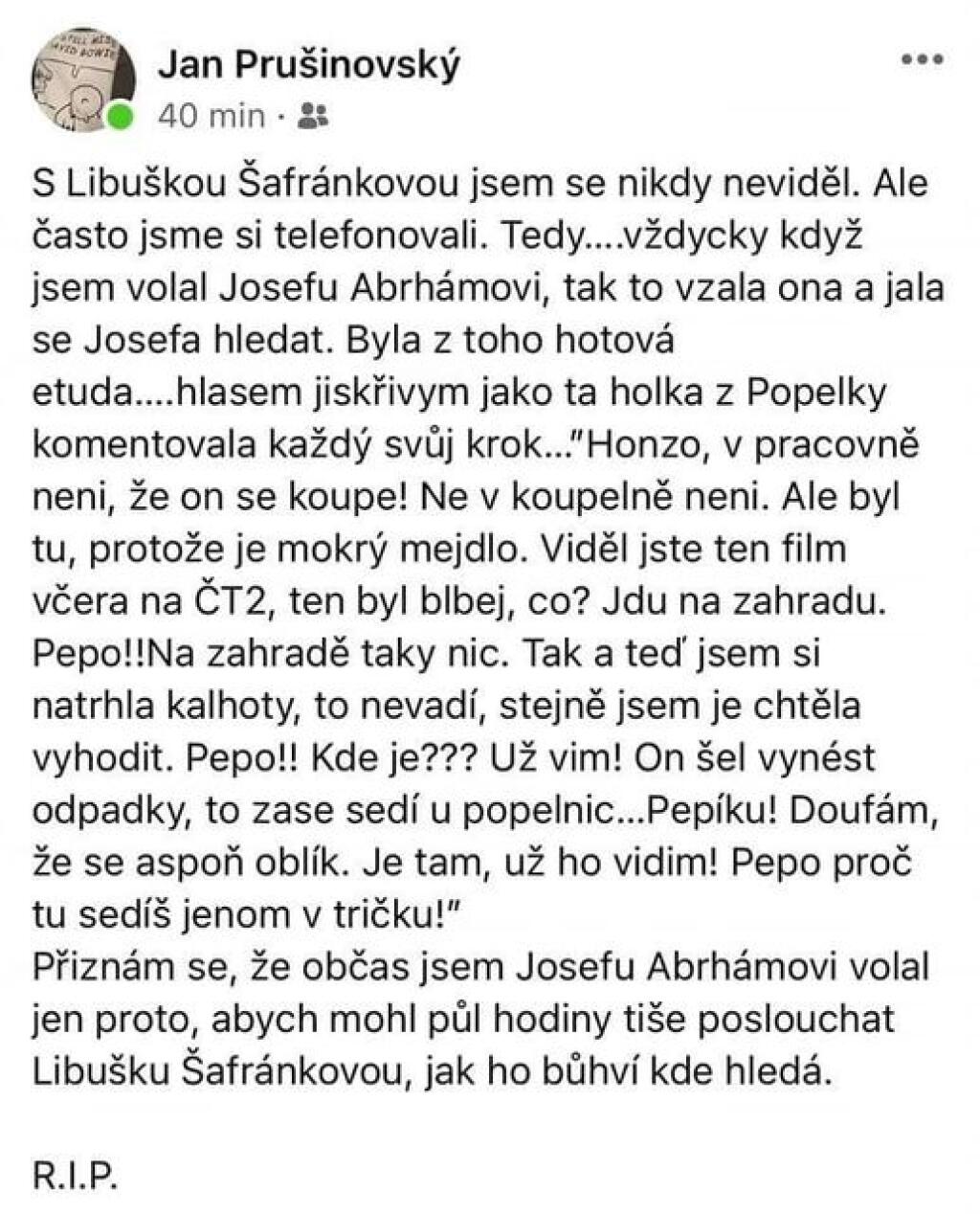 Status o Libuši Šafránkovej, ktorý vás dostane!