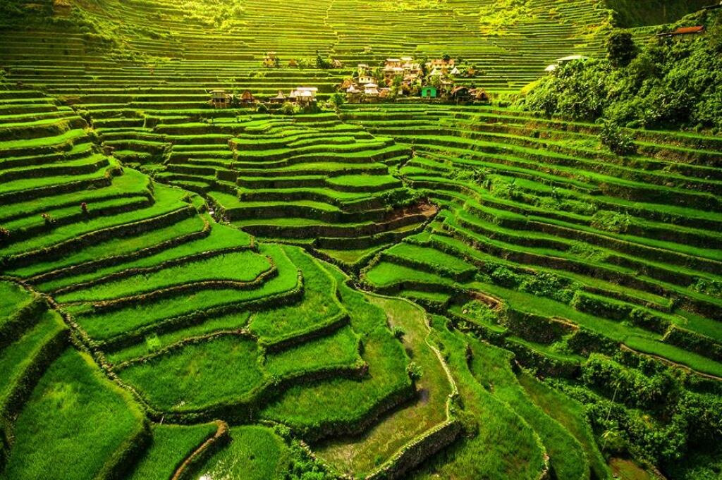 Ryžové terasy Batad a Banaue, Filipíny.