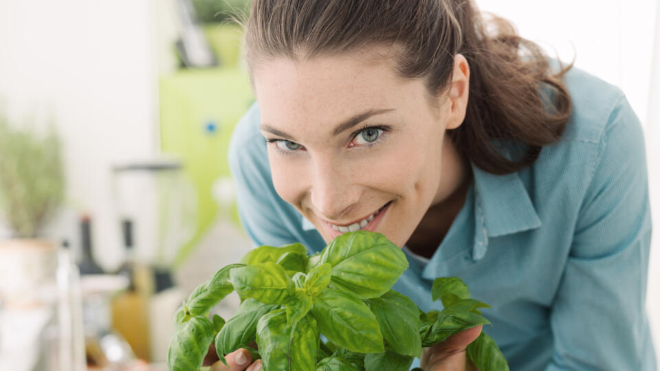 Smiling,Woman,Smelling,Fresh,Basil,At,Home,And,Preparing,Healthy