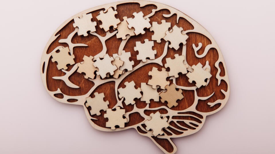 Wooden,Brain,And,Puzzles.,Mental,Health,And,Problems,With,Memory