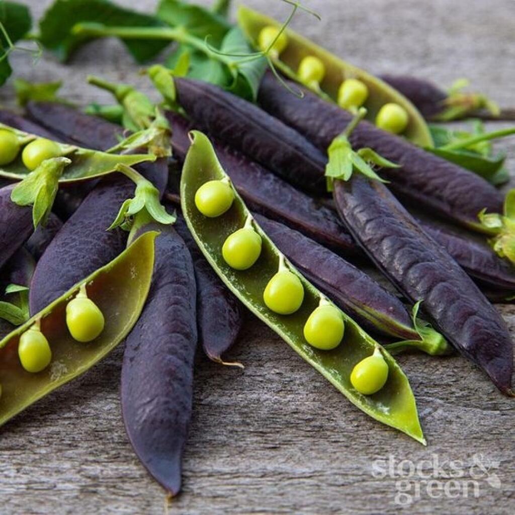 Hrach je botanicky radený medzi ovocie.
