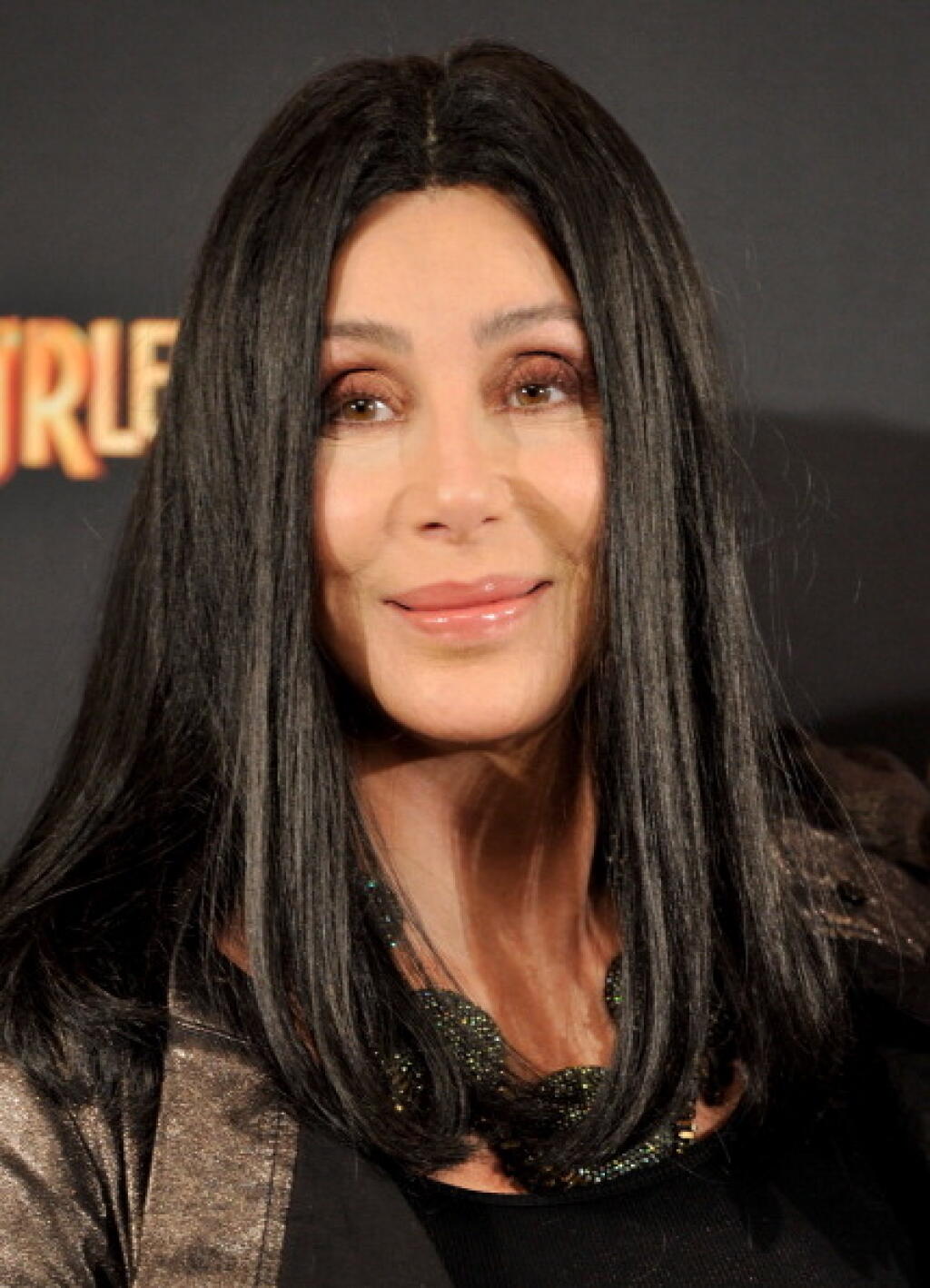 Шер возраст сейчас. Шер. Шер певица. Cher певица 2021. Шер 2013.