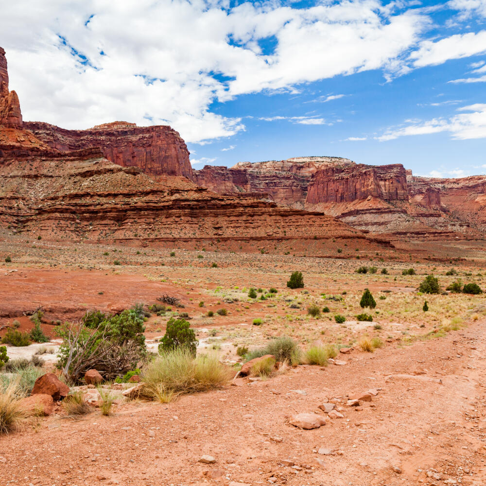 USA - Amerika - Utah - Canyonlands National Park