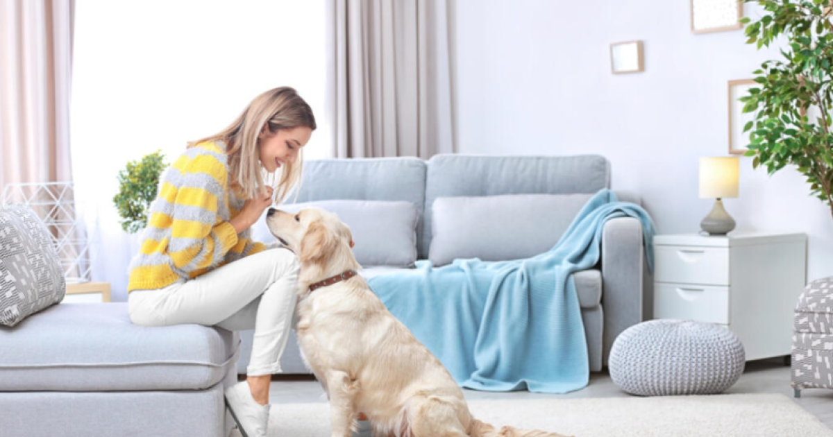 Pet-Proof Home: Preparing Your Place for a New Pet 