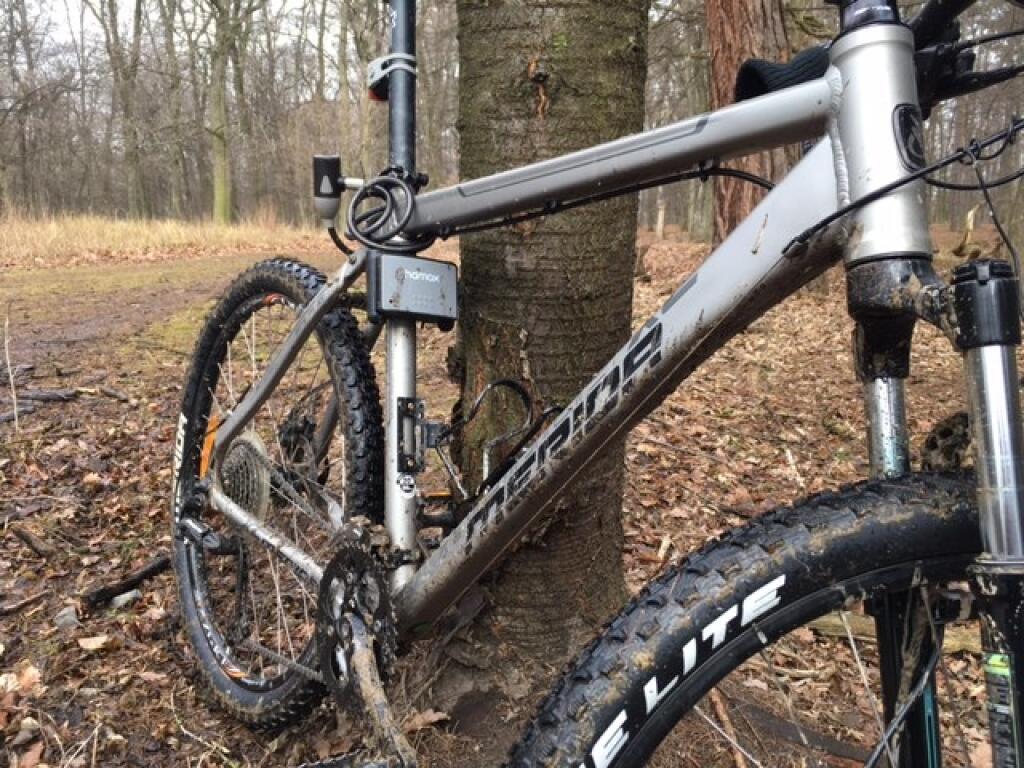 Bicyklovanie v lese bez prilby sa nemusí vyplatiť