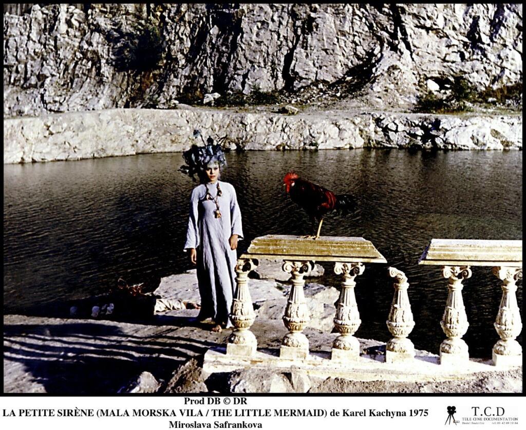 Miroslava Šafránková sa narodila 11. 6. 1958 v Brne. Keď začínala točiť Malou mořskou vílu, mala iba 18 rokov.